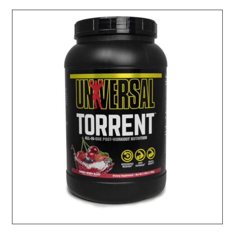 Universal Torrent